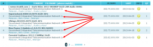 Torrent Activity on the Government Network